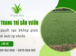 Cỏ trang trí sân vườn - Bí quyết tạo không gian xanh mát tự nhiên