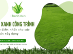 Cỏ xanh công trình - Tạo điểm nhấn thẩm mỹ cho các dự án xây dựng