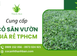 Cỏ Cảnh Thanh Ban - Chuyên cung cấp cỏ sân vườn giá rẻ TPHCM