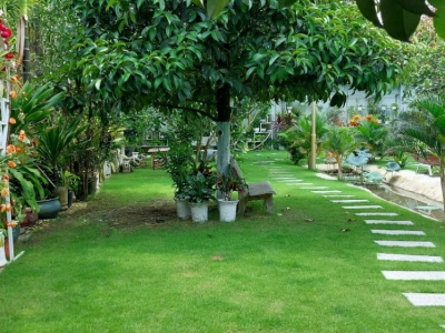 Dịch vụ chăm sóc vườn cây tận nhà