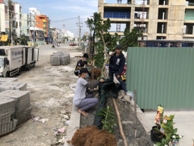 Dịch vụ chăm sóc cắt tỉa cây cảnh