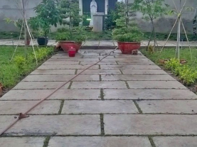 Dịch vụ thi công công trình xanh vỉa hè