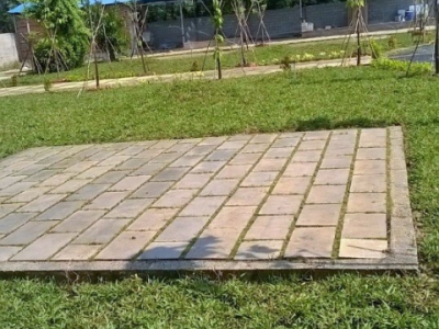 Dịch vụ thi công sân vườn trọn gói