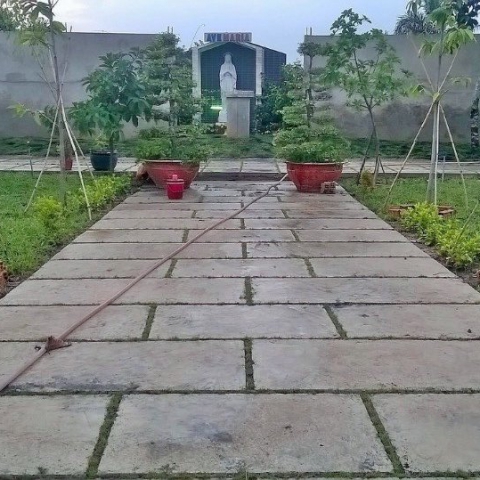 Dịch vụ thi công công trình xanh vỉa hè