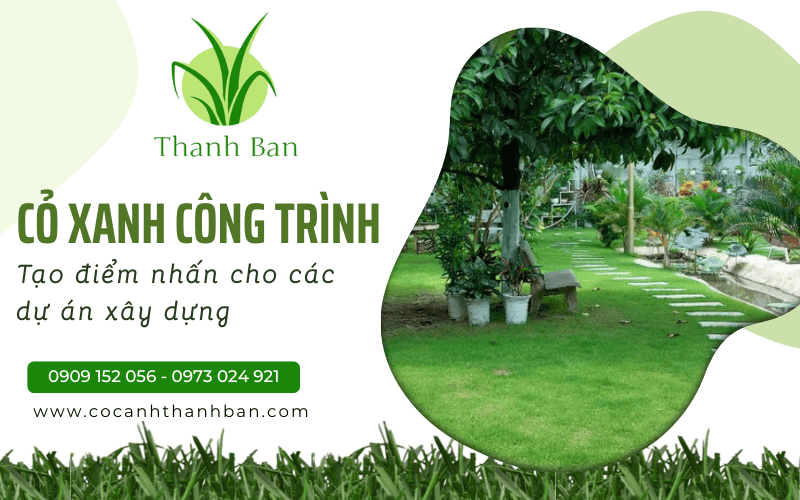 Cỏ xanh công trình