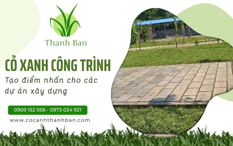 Cỏ xanh công trình